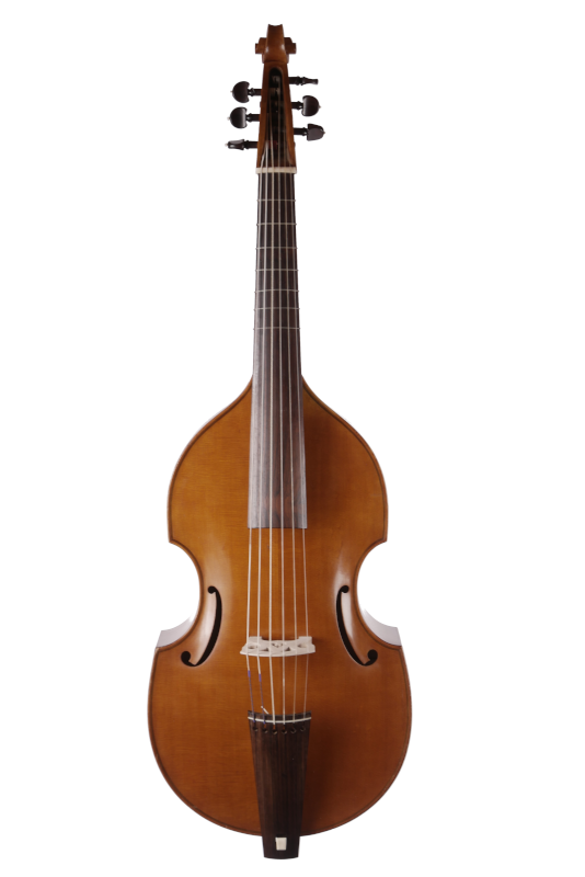 Bassgambe